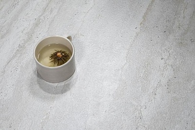 Керамогранит Tau Ceramica Tivoli White Matt Mix 160x320