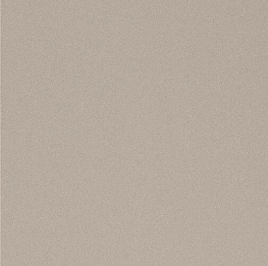 Керамогранит Imola Ceramica PRTU 60AG LV PARADE 60x60