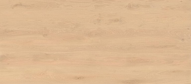 Керамогранит Atlas Concorde Italy AX28 Log Bright Oak Matte 6mm 120x278