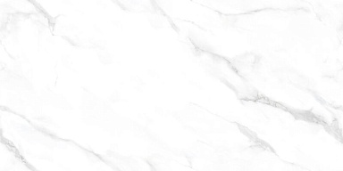 Керамогранит NT Ceramic NTT99506P Statuario Endless 60x120