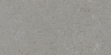 Подступенник Kerama Marazzi SG935600N/2 Подступенок Матрикс серый 30*14.5