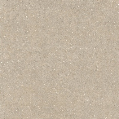 Керамогранит Casa Dolce Casa 785579 Rinascenza Arena Conchiglia Matte 6mm 120x120