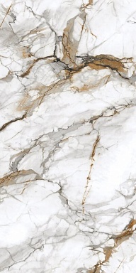Керамогранит Protiles PT12P7081 Royal Marble Полированная 1200х600х9