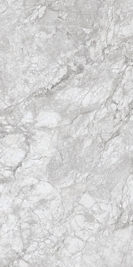 Керамогранит Concor 230167 Polar Grey Polished 60x120