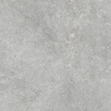 Керамогранит Ragno Marazzi RALM Richmond Silver Rett 100x100