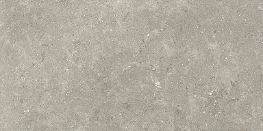 Керамогранит Ceramiche Piemme 05517 Limestone English Grey Lap Ret 60x120