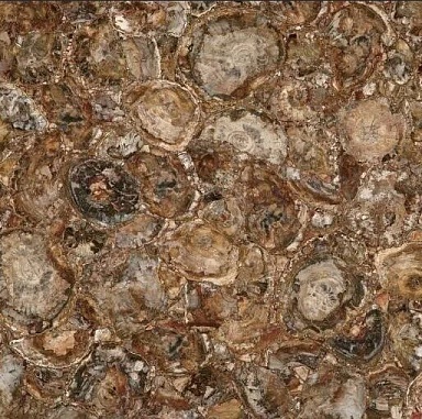 Керамогранит Marmocer MC-SP09 Petrified Wood (Round) (Compound With Granit) 100x100
