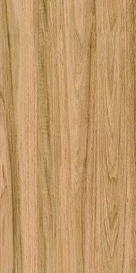 Керамогранит Bonaparte Greenwood Great Matt 60x120
