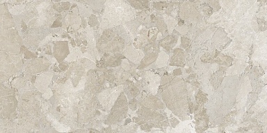 Керамогранит ERGON EN4X Matera Stone Sassi Greige Silktech R10 Rett 60x120