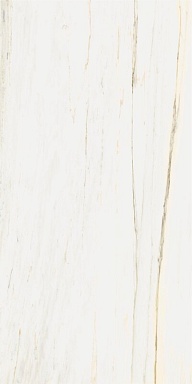Керамогранит Italon 610010002833 Stellaris Carrara Ivory Nat Ret 60x120