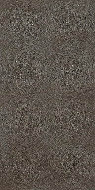 Керамогранит Casa Dolce Casa 768350 Sensi Brown Sand Ret 40x80