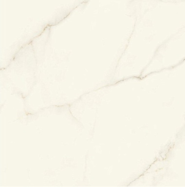 Керамогранит Atlas Concorde Italy AFVJ Marvel Calacatta Apuano Silk 120x120