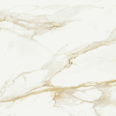 Керамогранит STN Ceramica P.E. Pul. Camile gold rect. 120x120