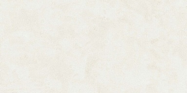 Керамогранит Buono Ceramica EVL4802M Emma Fiore Base Matt 60x120