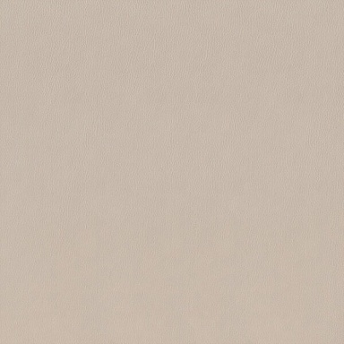 Керамогранит Kerama Marazzi SG153000N Сафьян беж 40.2х40.2