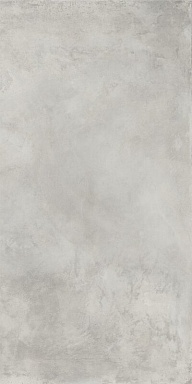 Керамогранит Italon 610010001649 Millenium Silver Nat Ret 80x160