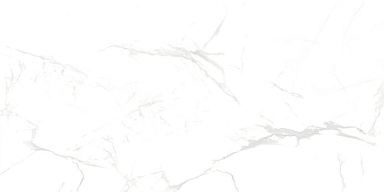 Керамогранит NT Ceramic NTT99607M Callacata carving 60x120