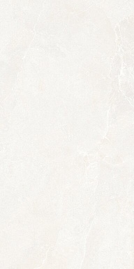 Керамогранит Ava Ceramica 199021 Noble Stone White 3D Satin Ret 60х120
