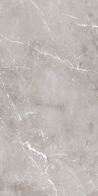 Керамогранит Ariana Ceramica PF60004301 Epoque Grey Lap 60X120
