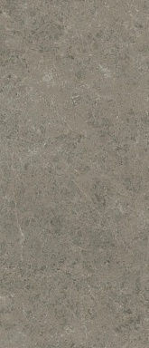 Керамогранит Atlas Concorde Italy AJH5 Marvel Meraviglia Grigio Elegante Lapp. 6mm 120x278