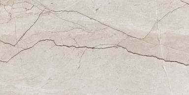 Керамогранит A-Ceramica Eco 6536 Polished 60x120