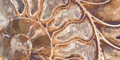 Керамогранит Serapool FM3366 Fossil Mix 33х66
