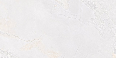 Керамогранит Fanal Planet White N Metal Shine 60x120