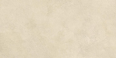 Керамогранит Atlas Concorde Italy AYV0 Boost Expression Camel Matte 30x60