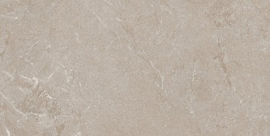 Керамогранит Pamesa 017.250.0210.15089 Constanza Mocha MT Rect 60x120