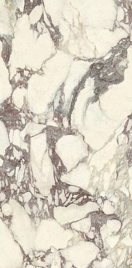 Керамогранит Ariostea PL612671 Calacatta Viola Luc 60x120