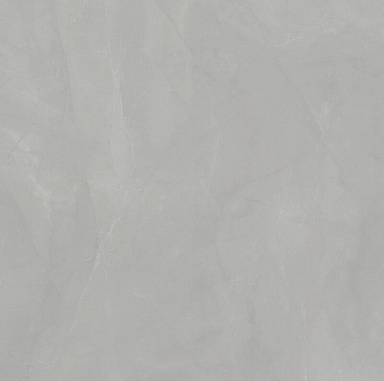 Керамогранит Dado Ceramica 005845 Walk Pearl Rett 120x120