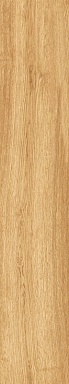 Керамогранит Artcer 1064 Parma Honey Mate 120x20