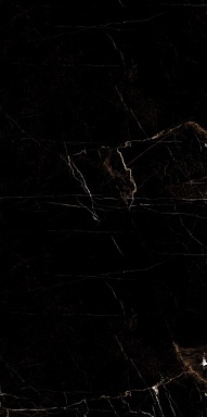 Керамогранит Artcer Marble Tropic Black 120x60
