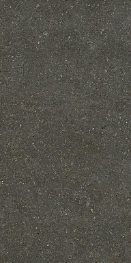 Керамогранит Casa Dolce Casa 785577 Rinascenza Arena Platino Matte 6mm 60x120