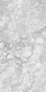 Керамогранит Concor 230167 Polar Grey Polished 60x120
