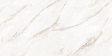 Керамогранит NT Ceramic NTT99525P Empire Pearl Endless 60x120
