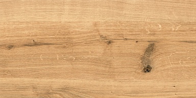 Керамогранит Cersanit C-WS4O112D Woodhouse коричневый 29,7х59,8