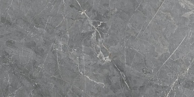 Керамогранит Keraben Fior Di Bosco Grey Starlight 120x60