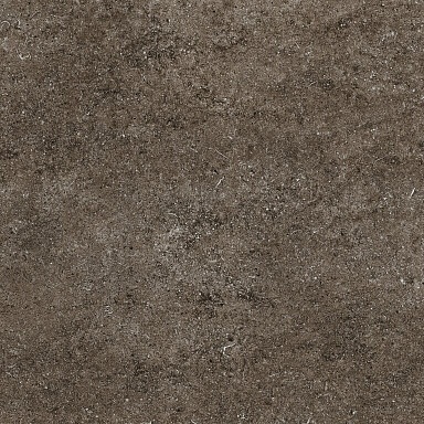Керамогранит Casa Dolce Casa 768379 Sensi Brown Fossil Ret 80x80