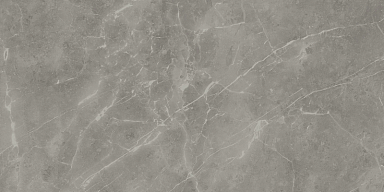 Керамогранит Atlas Concorde Italy A21F Marvel Grey Fleury 60x120