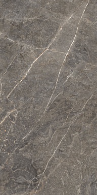 Керамогранит Global Tile GT1206023109MGR Salsa Темно-серый 60x120