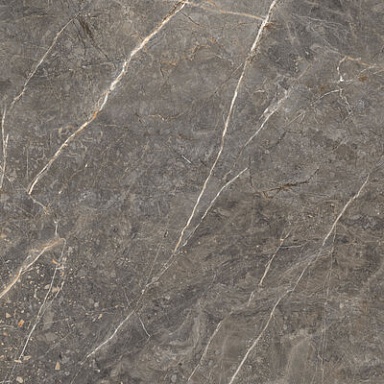 Salsa Global Tile