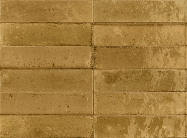 Керамогранит Ragno Marazzi R8FT Look Ocra Glossy 24x6