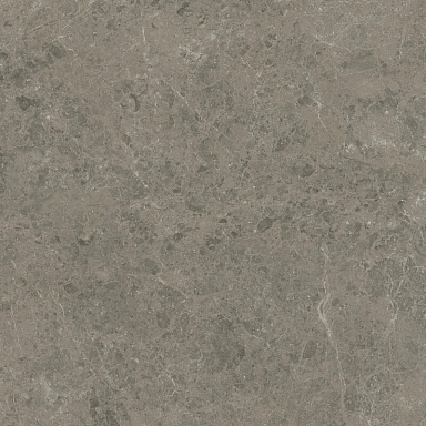 Керамогранит Atlas Concorde Italy AJIF Marvel Meraviglia Grigio Elegante Lapp. 120x120