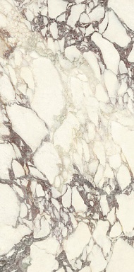 Керамогранит Ariostea PL612671 Calacatta Viola Luc 60x120