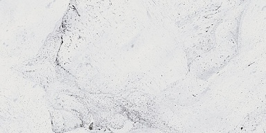 Керамогранит Gracia Ceramica Inverno white 01 30х60