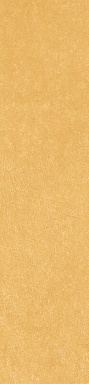 Керамогранит Simpolo Ceramics Scs Spectra Mustard 5,8х25