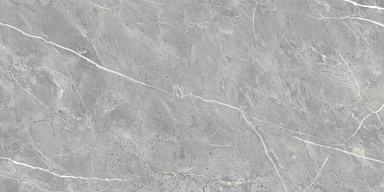 Керамогранит Ennface ENSTN8003LM60120 Marcasite Glossy 60x120