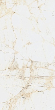 Керамогранит Coliseumgres 610010005765 Canova White Ret 60x120