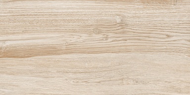 Плитка New Trend WT36AOD08 Artwood 300*600*9
